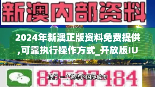 2024新澳正版免费资料的特点|精选解释解析落实