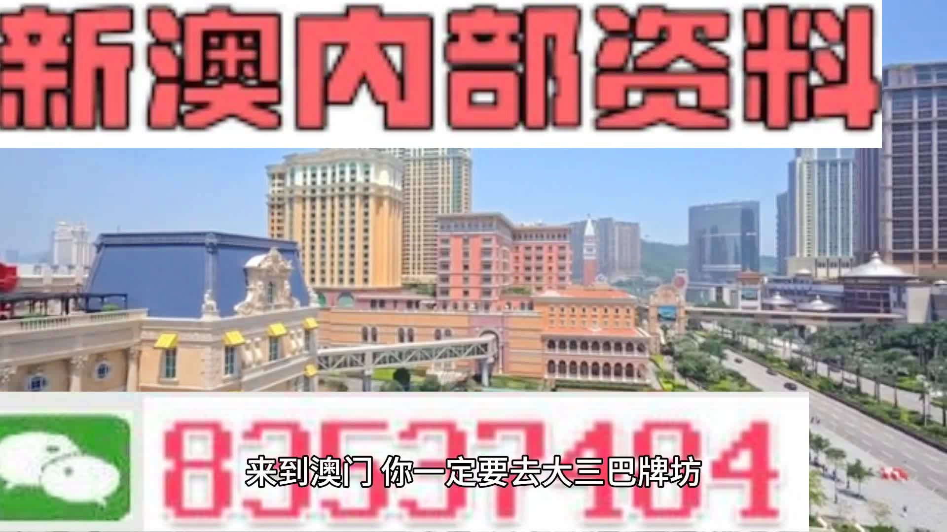 2024新澳门马会传真|精选解释解析落实