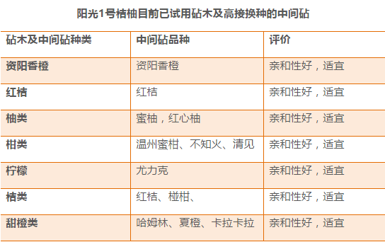 2024年全年资料免费大全优势|精选解释解析落实