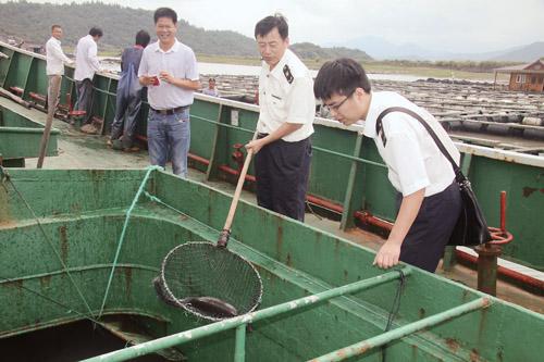 宁波医院最新招聘检验人才，专业人才的呼唤与医疗事业的进步