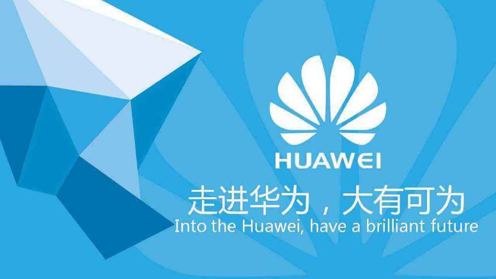 关于天下彩9944cc免费资料与精选解析落实的探讨——一个关于违法犯罪问题的深度剖析