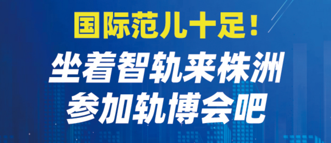 探索未来，2024新澳天天资料免费大全与精选解析落实之道