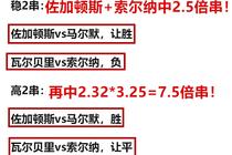 关于新澳门最准一肖的解析与落实，一个深入探究的违法犯罪问题