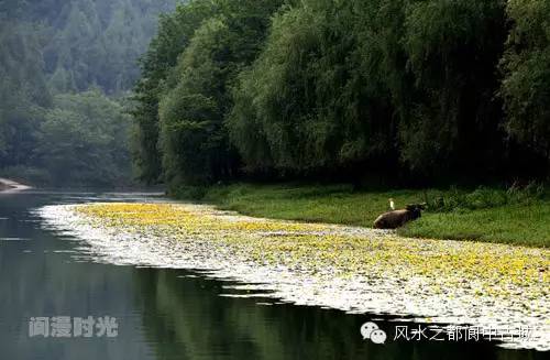 阆中构溪河最新消息，生态修复与旅游开发的融合进展