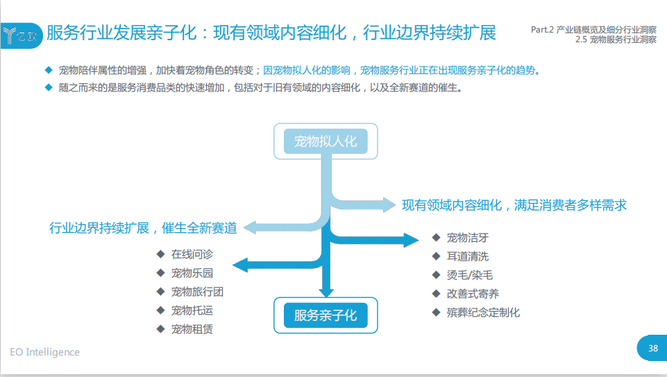 沈阳市最新市长分工及其职能概述