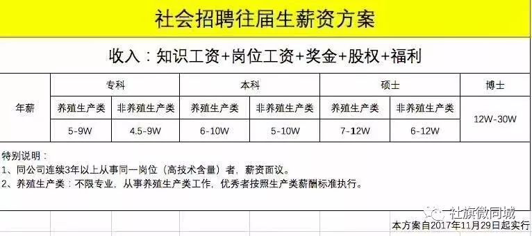 河南社旗最新招聘信息概览