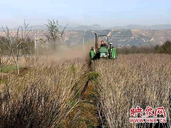 灵宝王建波最新任职，引领新时代，铸就新辉煌